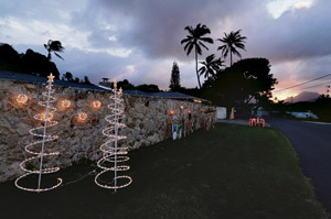 LED Christmas lights can save a bundle on electricity. Nathalie Walker photo nwalker@midweek.com