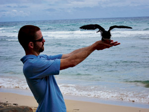 Andre Raine releases a fledging ‘a‘o that had been downed | Coco Zickos photos