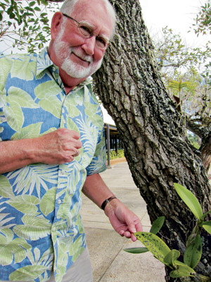Plant pathologist Bob Nyvall checks the health of a flower