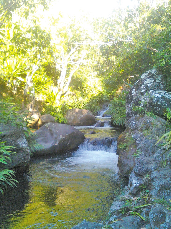 A pretty pool along Kalalau Trail. Jane Esaki photo