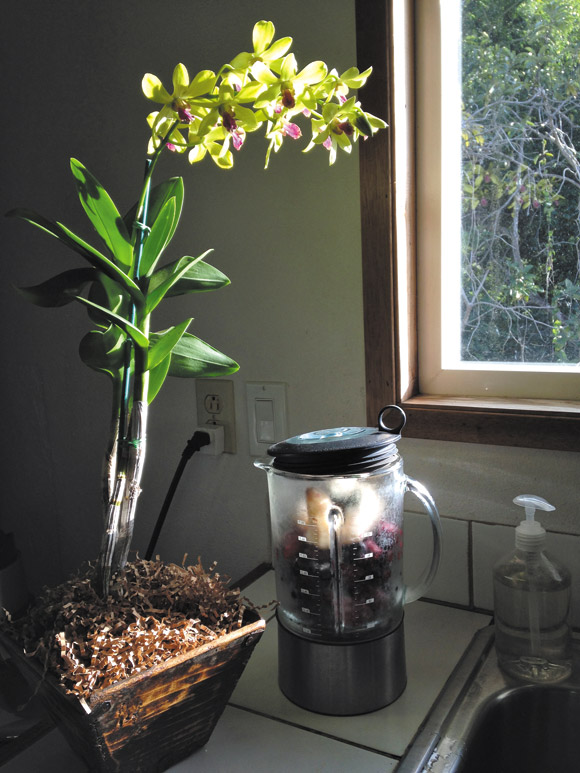 Narrow counters, blenders, orchids and rustic trimmings recall good memories | Jane Esaki photo 