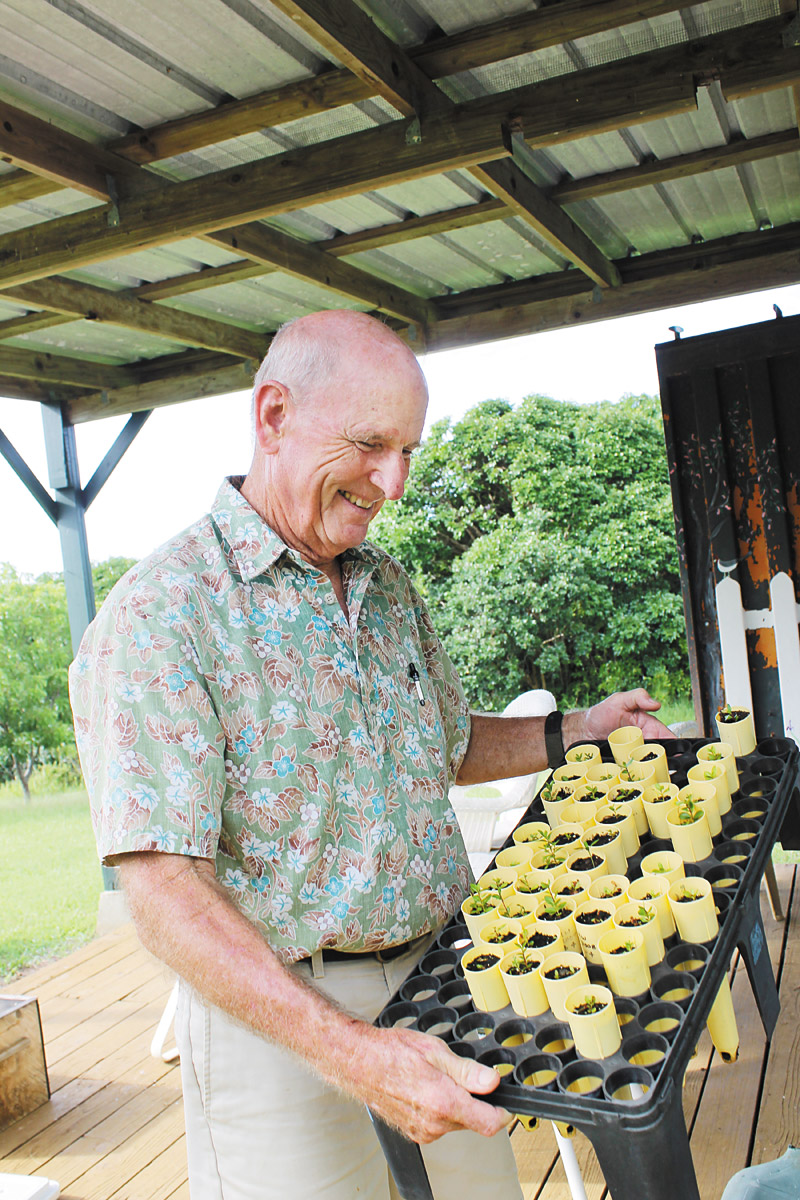 Sandy Brodie in his nursery on the North Shore, where he is propagating many native species including koa and ohia