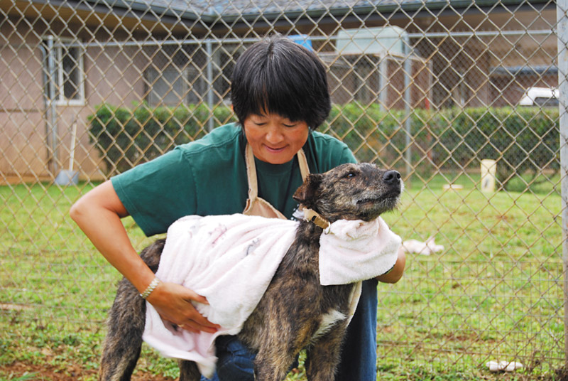 Volunteers always are needed to help care for the animals at KHS 