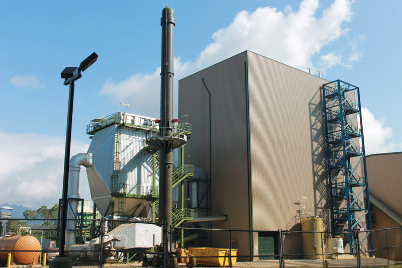 Wood chips generate 12 percent of the island's electricity at the plant 