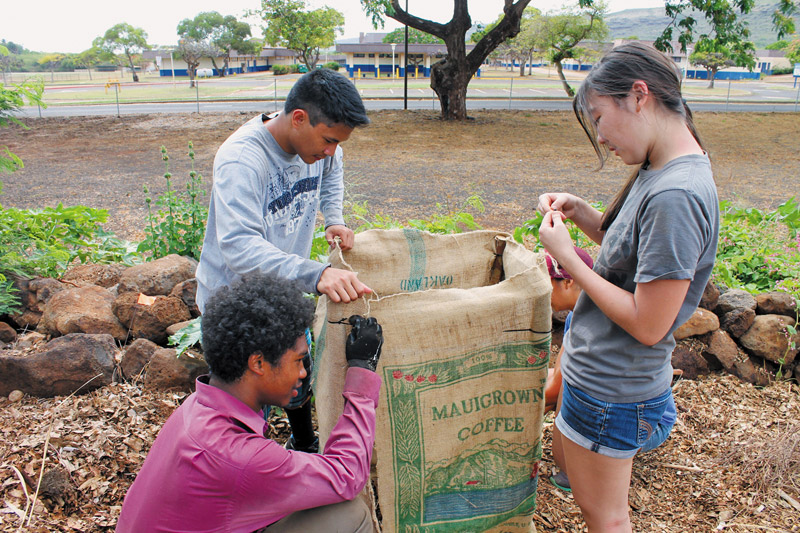 Summer interns learn to plant trees sustainably in Waimea 