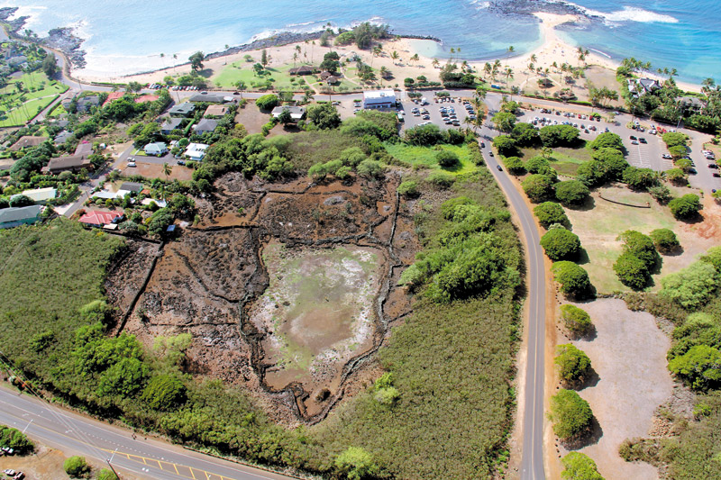 Aerial view in 2012 of Ke Kahua O Kaneiolouma when signifi cant restoration started  