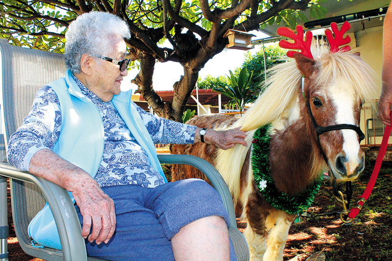 A Kauai Veterans Memorial Hospital resident pets mini horse Red Raider