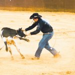 Cory Carveiro does tie-down roping