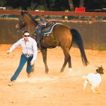 Kira Pimental shows her stuff in goat roping