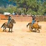 Taylor Ludington and Britni Ludington-Braun share the work in team roping
