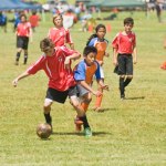 Bulls Tanner Fredericksen shields GIFCâ€™s Jonathan BenitezVega from the ball.