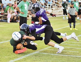 Warriors And Bulldogs Walk Away Tied