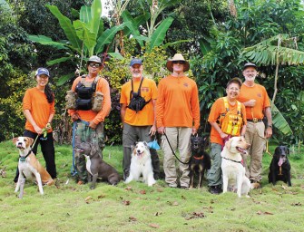 Bark And Rescue