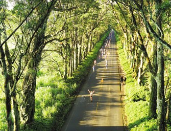 The Most Beautiful Marathon