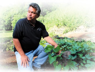 ‘Hawaiian Life’ Comes Alive
