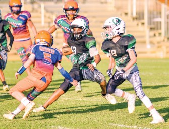 Junior Warriors Fall To Schofield Gators