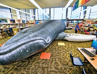 A Whale Of A Day