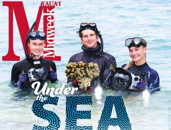Under the Sea